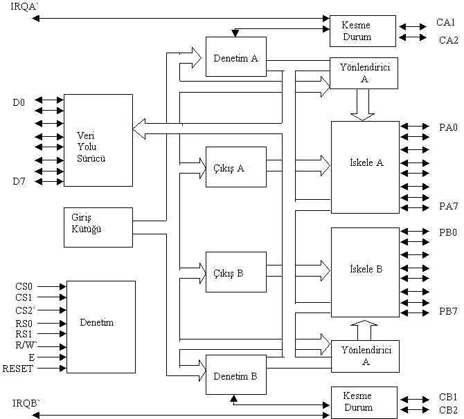 wpe8.jpg (32843 bytes)